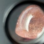 Der Rosé farbene ovale Turmalin in cabochon schliff, besitzt kleine einzigartige Einschlüsse, die bei genauer Betrachtung sichtbar sind. Der Stein ist transparent und unbehandelt.